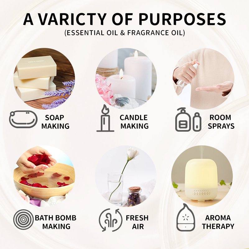 10ML Fragrance Oil Plant Makin - Candle Making Bath 评论和价格