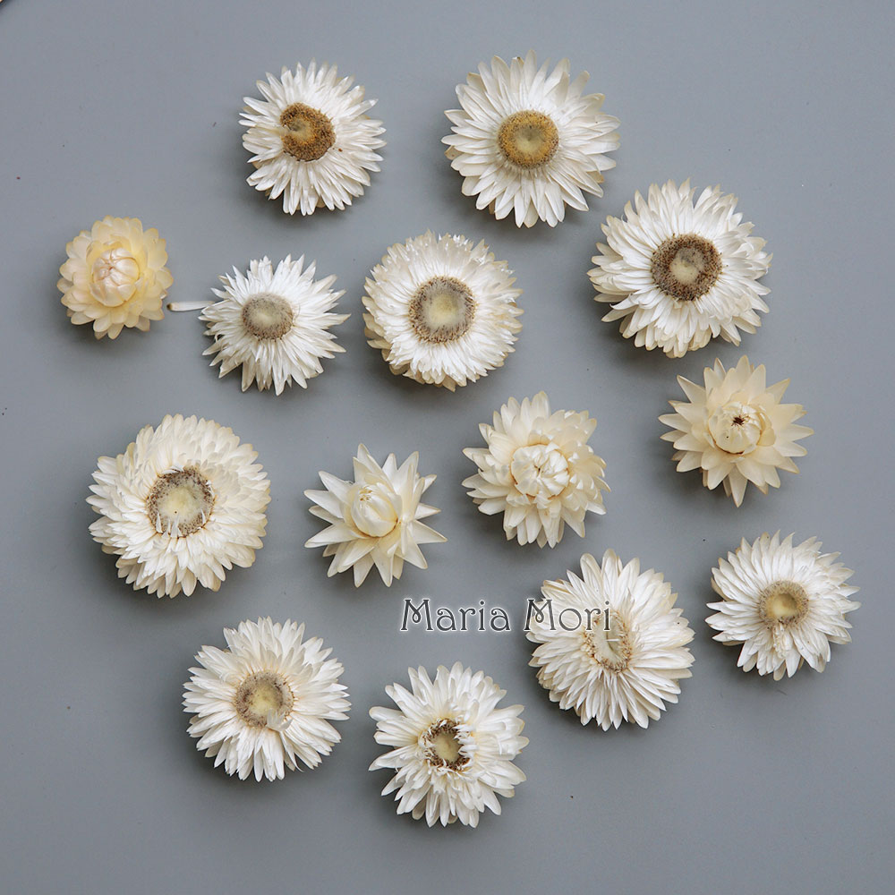 Natural Dried Colorful Chrysan - Candle Making Supplies 评论和价格