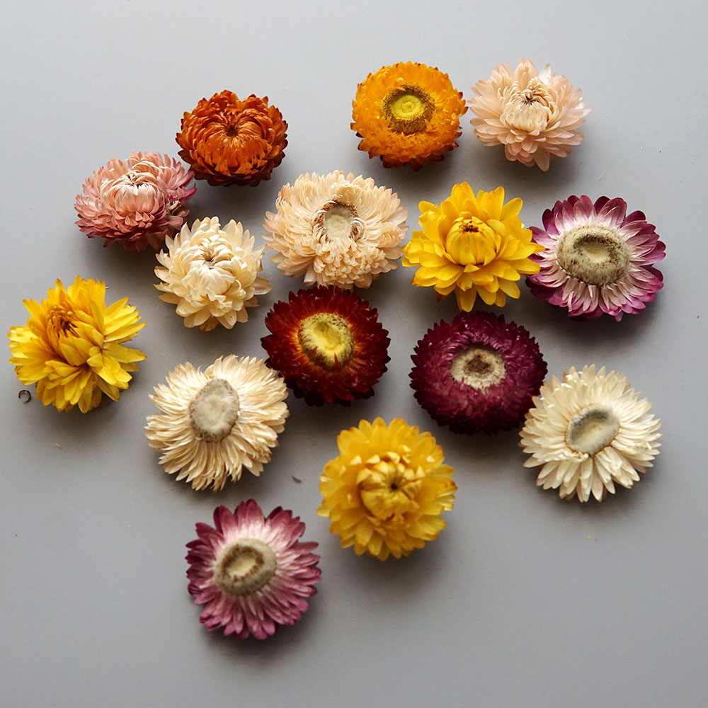 Natural Dried Colorful Chrysan - Candle Making Supplies 评论和价格