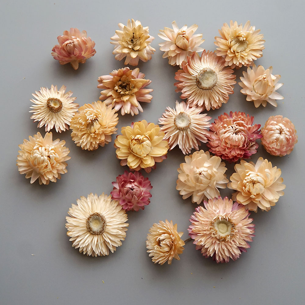 Natural Dried Colorful Chrysan - Candle Making Supplies 评论和价格