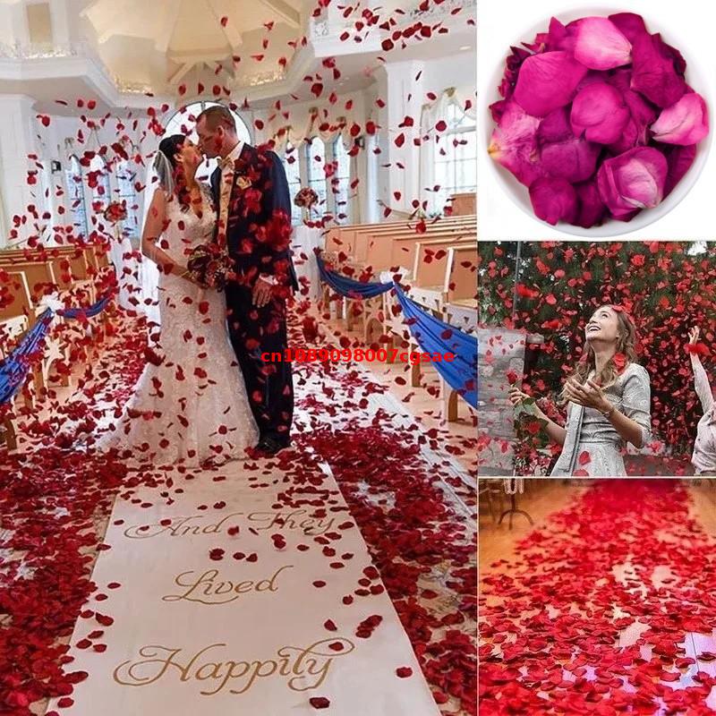 High Quality Natural Rose Peta - Candle Making Bath 评论和价格